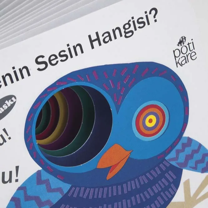 SENİN SESİN HANGİSİ? - Görsel 3