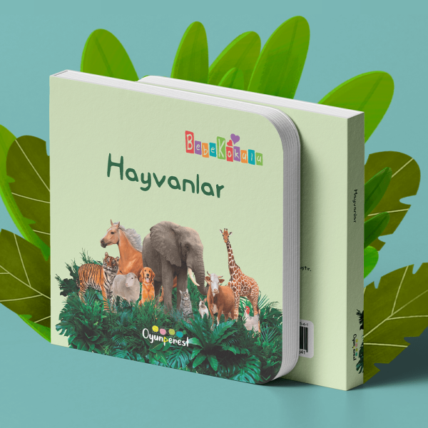 Hayvanlar - Görsel 2